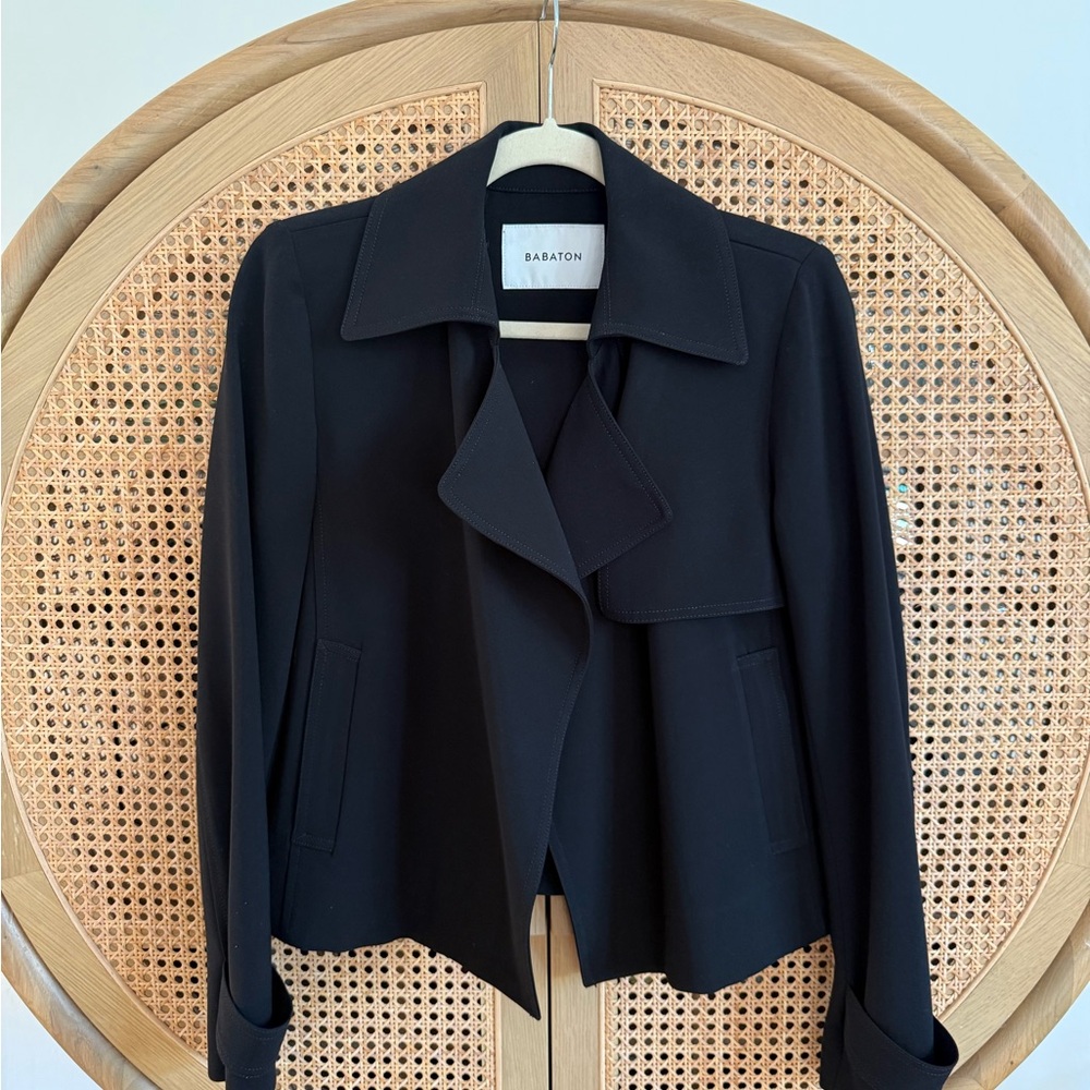 Aritzia Babaton Black Blazer